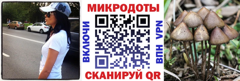 Галлюциногенные грибы Cubensis  как найти   Камышлов 